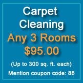 carpet cleaning discount